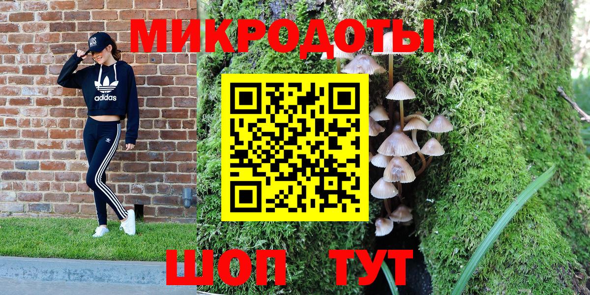 Псилоцибиновые грибы Psilocybe Бугуруслан